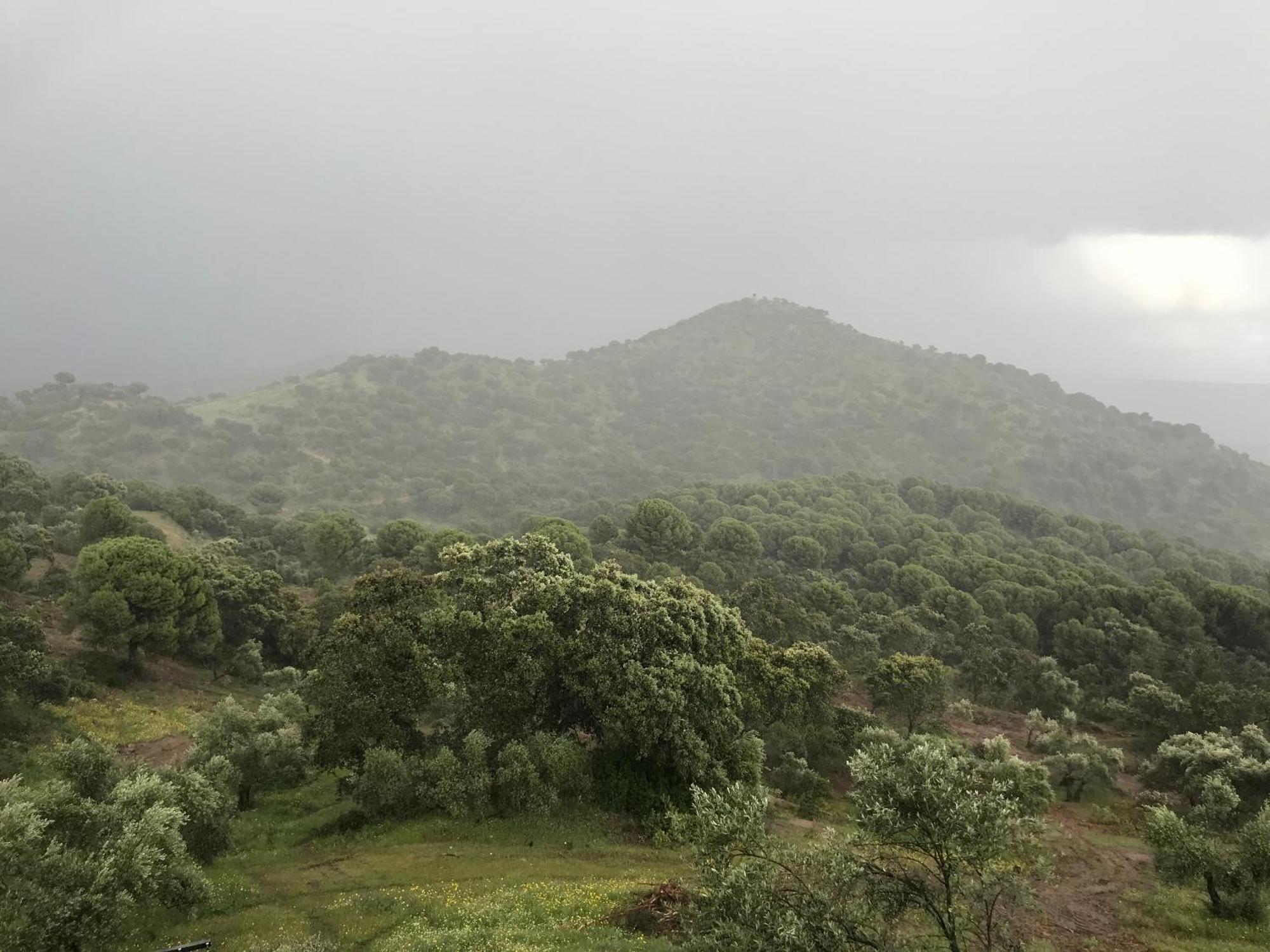 Casarural Sierramorena Dos Encinas Andújar Exterior foto